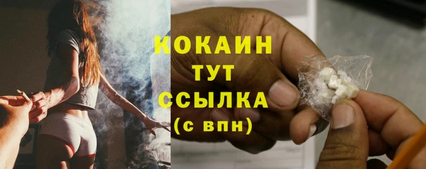 амф Вяземский