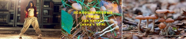 СК Вязники