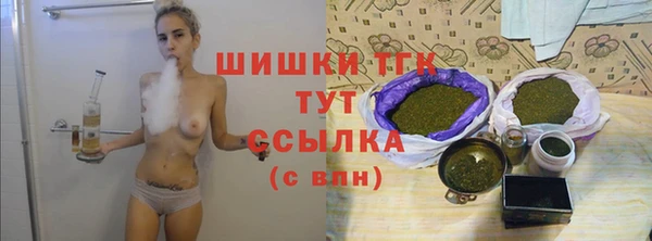 2c-b Тайга