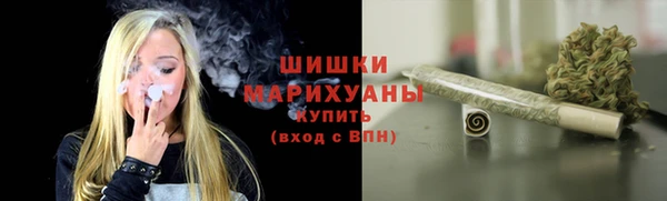 амф Вяземский