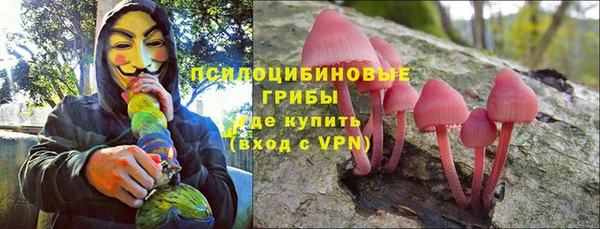 амф Вяземский