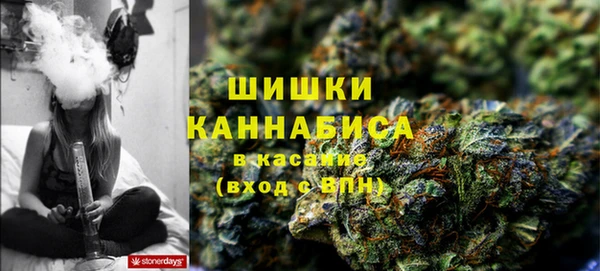 шишки Вязьма