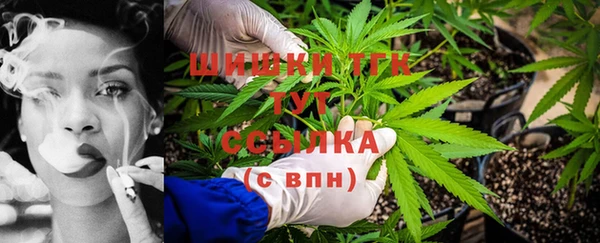 амф Вяземский
