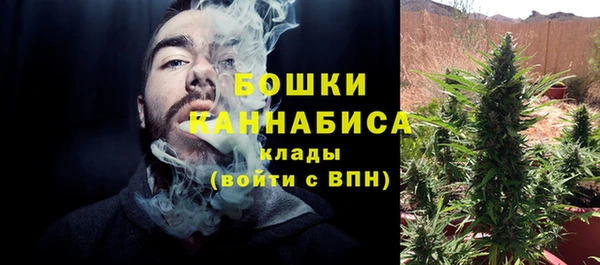 шишки Вязьма