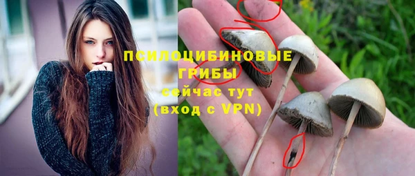 амф Вяземский
