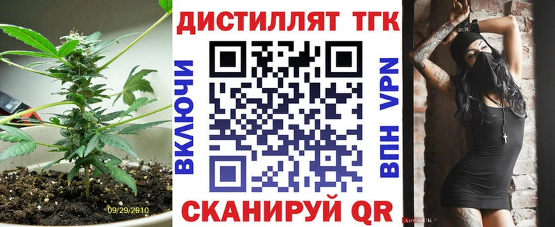 ТГК концентрат Дигора