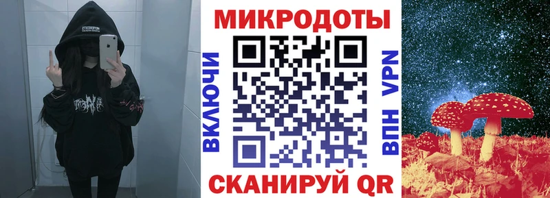 купить  цена  Дигора  Галлюциногенные грибы Psilocybe 